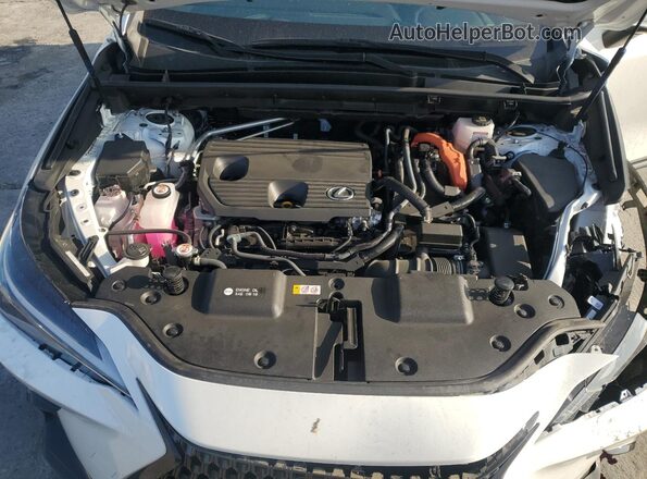 JTJGKCEZ9P2014668 2023 LEXUS NX White Շարժիչի բաժամունքի տեսք