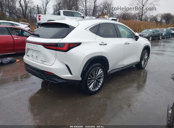 JTJHKCEZ2P2013818 2023 LEXUS NX 350H White უკანა მარჯვენა
