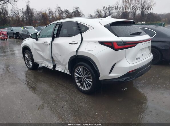 JTJHKCEZ2P2013818 2023 LEXUS NX 350H White უკანა მარცხენა