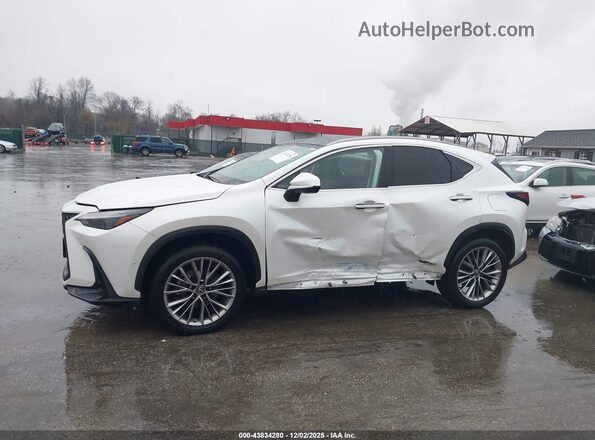JTJHKCEZ2P2013818 2023 LEXUS NX 350H White სალონის 360-გრადუსიანი ხედი