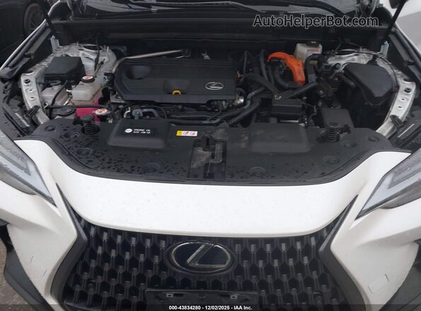 JTJHKCEZ2P2013818 2023 LEXUS NX 350H White უკანა ხედი