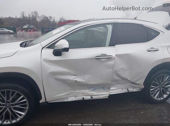 JTJHKCEZ2P2013818 2023 LEXUS NX 350H White წინა ხედი