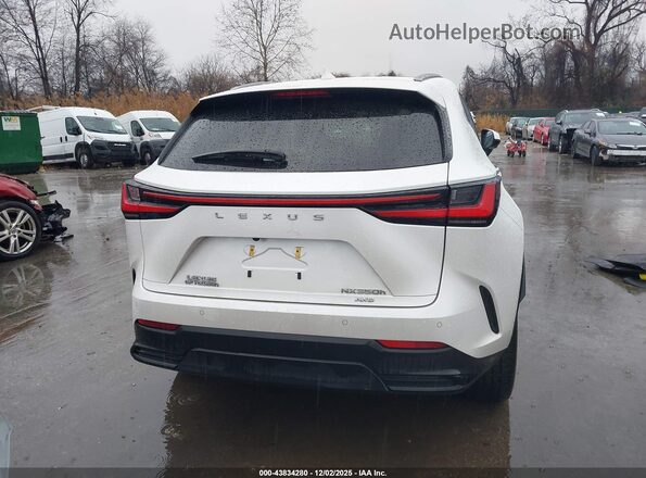JTJHKCEZ2P2013818 2023 LEXUS NX 350H White 