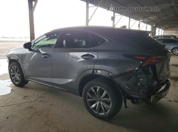 JTJSARBZ1L5001684 2020 LEXUS NX Gray 