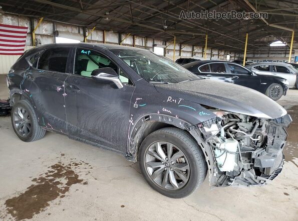 JTJSARBZ1L5001684 2020 LEXUS NX Gray 