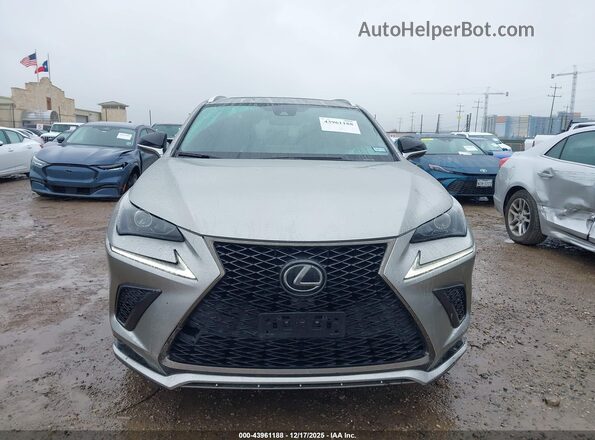 JTJSARBZ8M2186920 2021 LEXUS NX 300 Champagne 