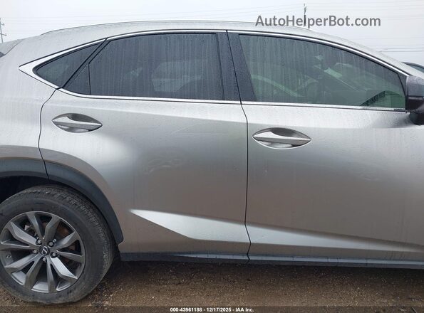 JTJSARBZ8M2186920 2021 LEXUS NX 300 Champagne 