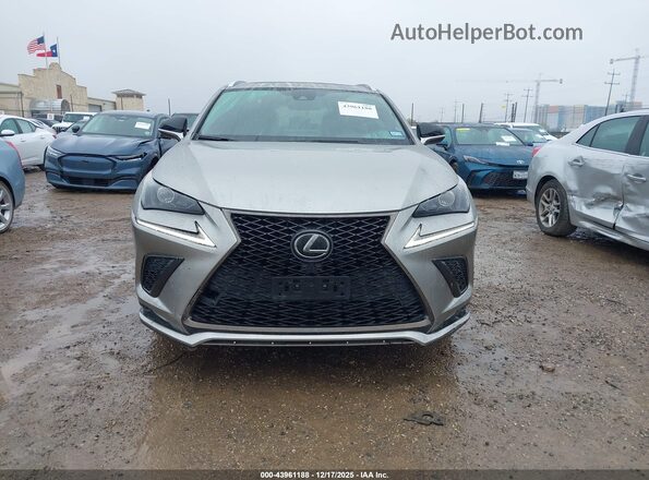 JTJSARBZ8M2186920 2021 LEXUS NX 300 Champagne 