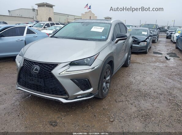 JTJSARBZ8M2186920 2021 LEXUS NX 300 Champagne 