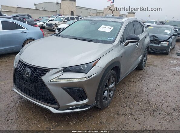 JTJSARBZ8M2186920 2021 LEXUS NX 300 Champagne 