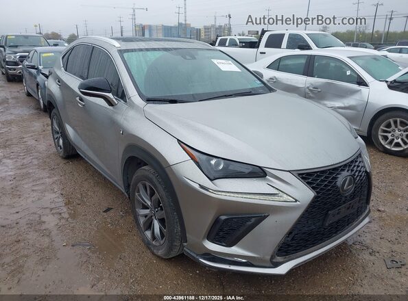 JTJSARBZ8M2186920 2021 LEXUS NX 300 Champagne 