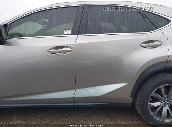 JTJSARBZ8M2186920 2021 LEXUS NX 300 Champagne 