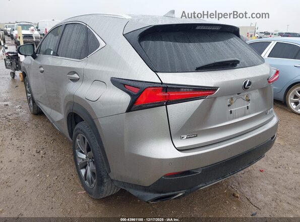 JTJSARBZ8M2186920 2021 LEXUS NX 300 Champagne 