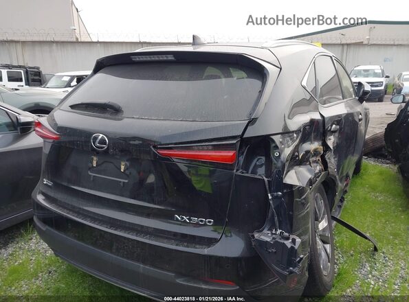 JTJSARBZ9M2188594 2021 LEXUS NX 300 Black უკანა მარჯვენა