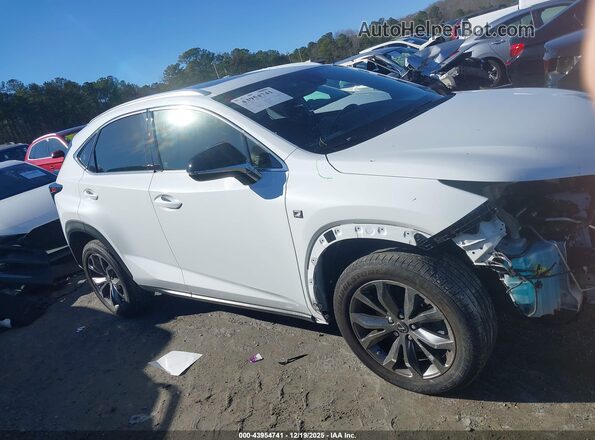 JTJSARBZXM2198728 2021 LEXUS NX 300 Белый Вид задней части салона