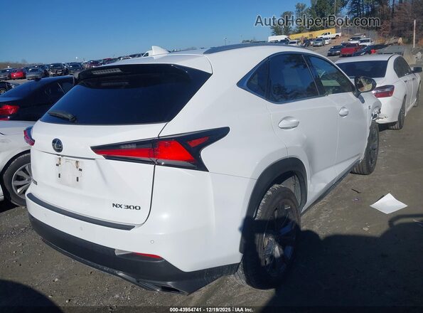 JTJSARBZXM2198728 2021 LEXUS NX 300 Белый Задняя правая четверть