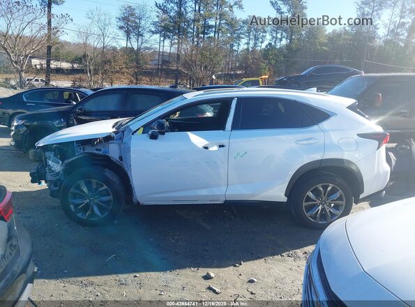 JTJSARBZXM2198728 2021 LEXUS NX 300 Белый Панорамный вид салона 360°