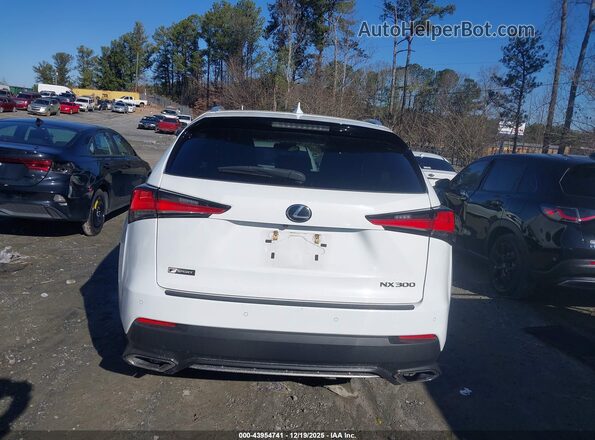 JTJSARBZXM2198728 2021 LEXUS NX 300 Белый 