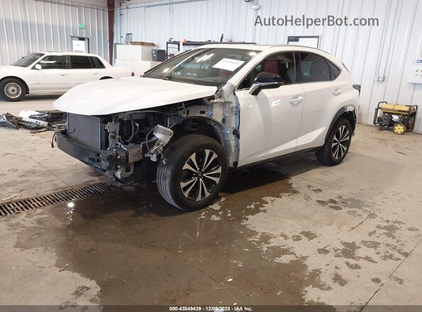 JTJSARDZ0M5019446 2021 LEXUS NX 300 Белый Передняя левая четверть