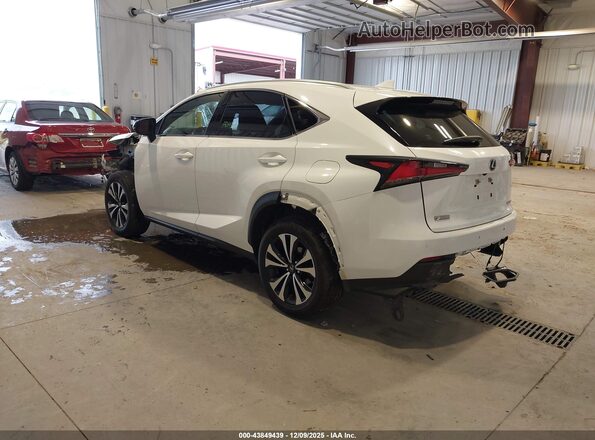JTJSARDZ0M5019446 2021 LEXUS NX 300 Белый Задняя левая четверть