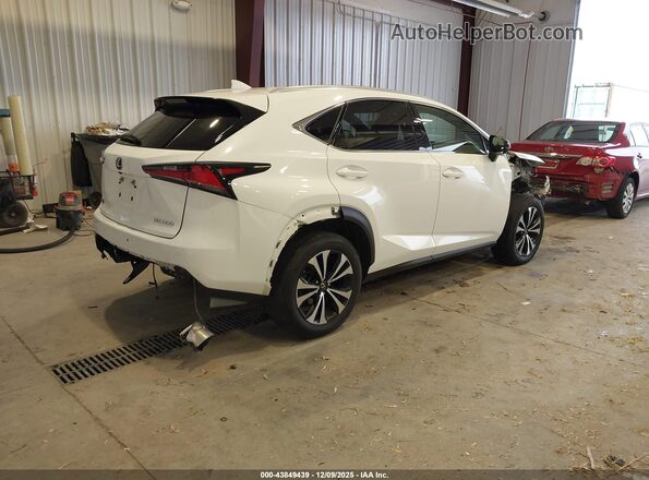 JTJSARDZ0M5019446 2021 LEXUS NX 300 Белый Задняя правая четверть