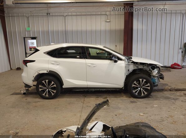 JTJSARDZ0M5019446 2021 LEXUS NX 300 Белый Панорамный вид салона 360°