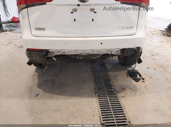 JTJSARDZ0M5019446 2021 LEXUS NX 300 Белый 