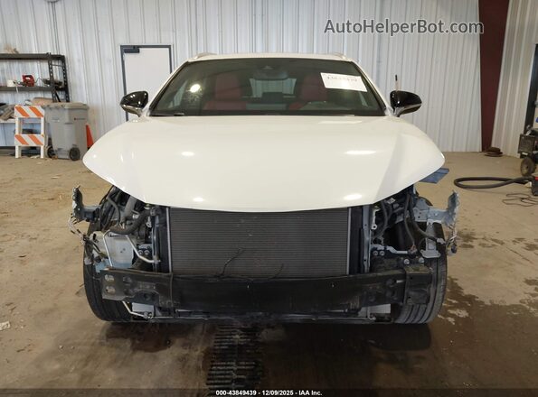 JTJSARDZ0M5019446 2021 LEXUS NX 300 Белый Вид задней части салона