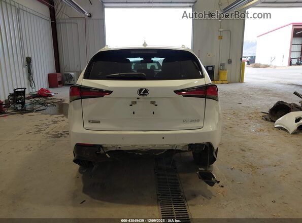 JTJSARDZ0M5019446 2021 LEXUS NX 300 Белый 