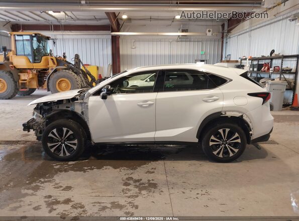 JTJSARDZ0M5019446 2021 LEXUS NX 300 Белый 