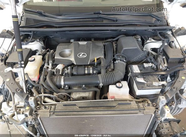 JTJSARDZ0M5019446 2021 LEXUS NX 300 Белый Вид сзади