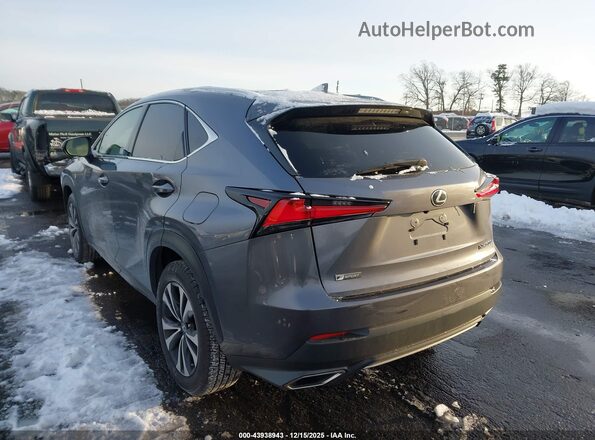 JTJSARDZ2M2256635 2021 LEXUS NX 300 Gray 