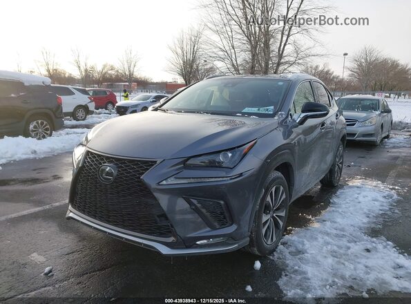 JTJSARDZ2M2256635 2021 LEXUS NX 300 Gray 