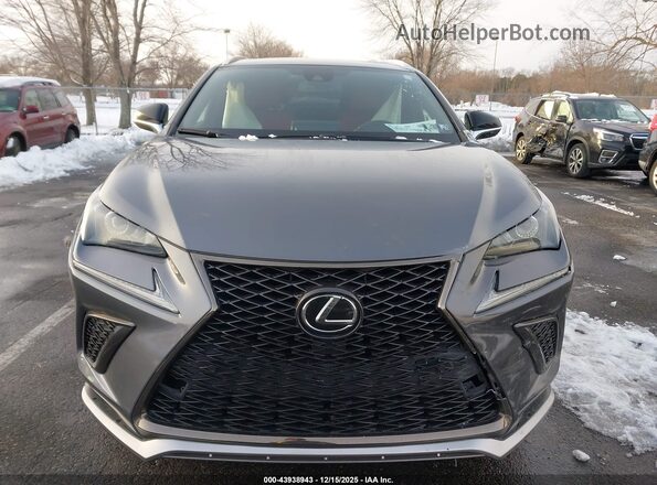 JTJSARDZ2M2256635 2021 LEXUS NX 300 Gray 