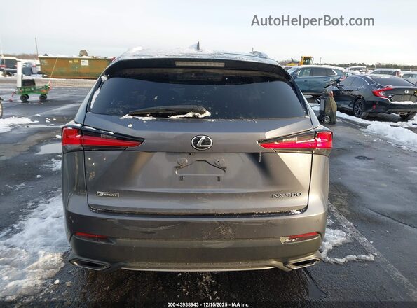 JTJSARDZ2M2256635 2021 LEXUS NX 300 Gray 