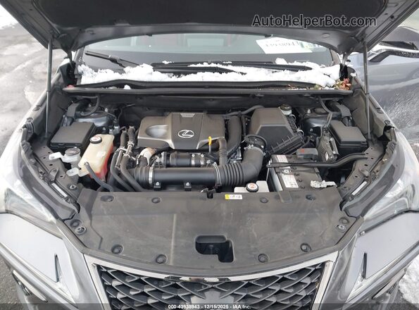 JTJSARDZ2M2256635 2021 LEXUS NX 300 Gray 