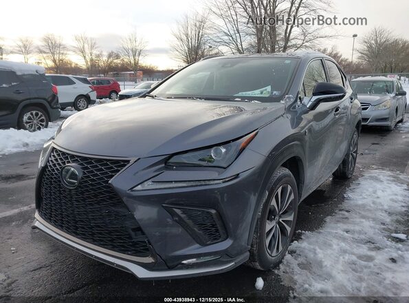 JTJSARDZ2M2256635 2021 LEXUS NX 300 Gray 