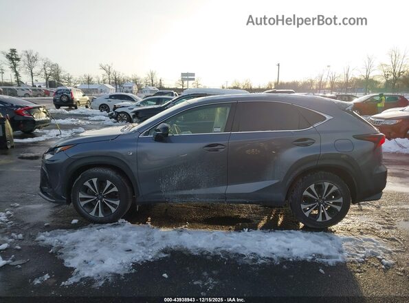 JTJSARDZ2M2256635 2021 LEXUS NX 300 Gray 