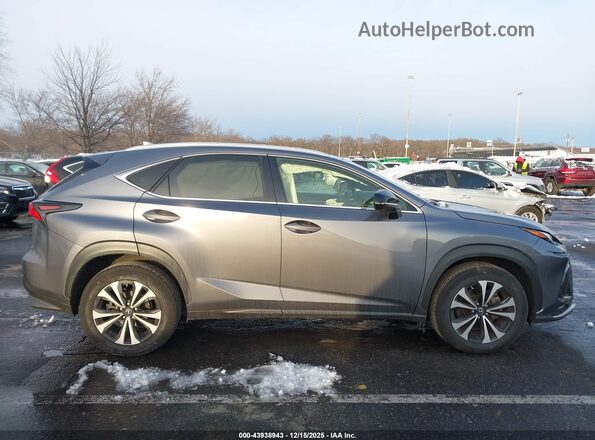 JTJSARDZ2M2256635 2021 LEXUS NX 300 Gray 