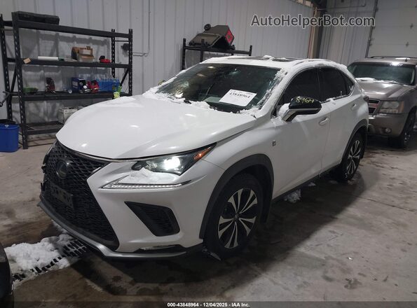 JTJSARDZ4L5011414 2020 LEXUS NX 300 White Vista tres cuartos delantera izquierda