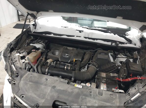 JTJSARDZ4L5011414 2020 LEXUS NX 300 White Vista trasera