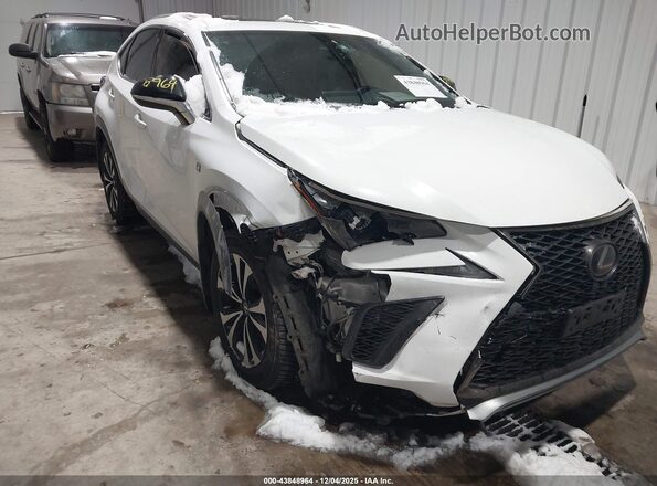 JTJSARDZ4L5011414 2020 LEXUS NX 300 White Vista frontal
