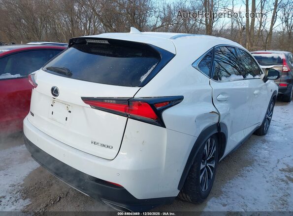 JTJSARDZ5M2251350 2021 LEXUS NX 300 White Vista frontal