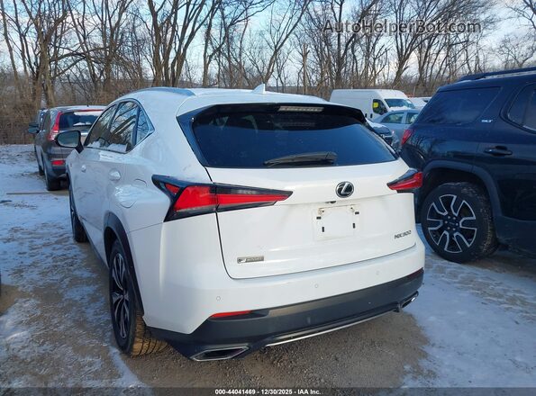JTJSARDZ5M2251350 2021 LEXUS NX 300 White Trasero izquierdo