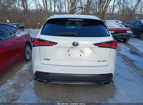 JTJSARDZ5M2251350 2021 LEXUS NX 300 White 