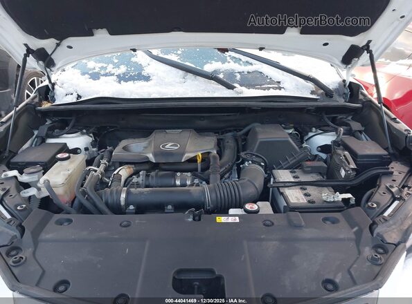 JTJSARDZ5M2251350 2021 LEXUS NX 300 White Vista trasera