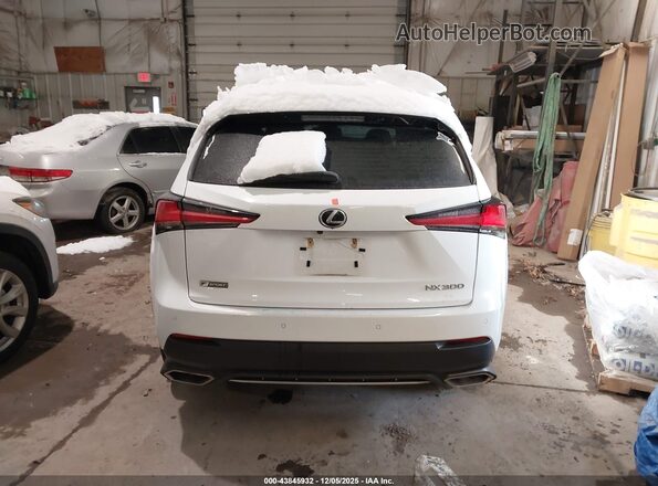 JTJSARDZ8M2247955 2021 LEXUS NX 300 White 