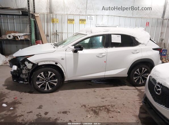 JTJSARDZ8M2247955 2021 LEXUS NX 300 White სალონის 360-გრადუსიანი ხედი