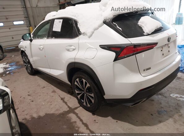 JTJSARDZ8M2247955 2021 LEXUS NX 300 White უკანა მარცხენა
