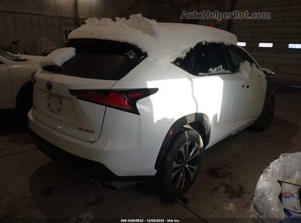 JTJSARDZ8M2247955 2021 LEXUS NX 300 White უკანა მარჯვენა